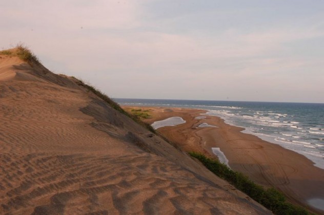 Dunas Playa Chachalacas