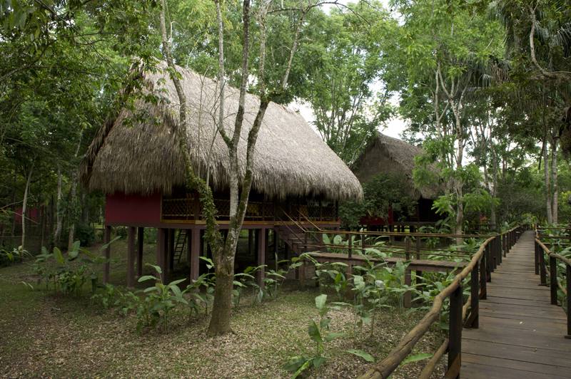 Centro Ecoturistico-las Guacamayas Chiapas