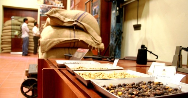 museo del cafe chiapas