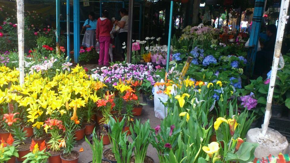 Mercado de Flores Xochimilco
