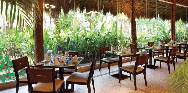 Dorado Seaside Suites, hoteles en la Riviera Maya