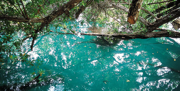 Cenote Azul Bacalar