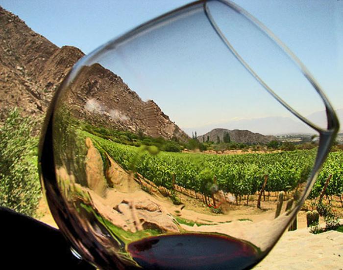 ruta del vino baja_california