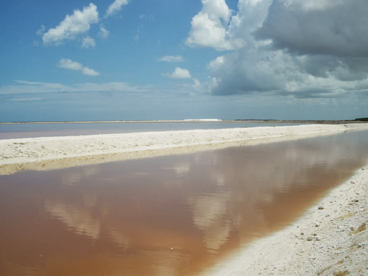 Playas de Sal Rio Lagartos Yucatan