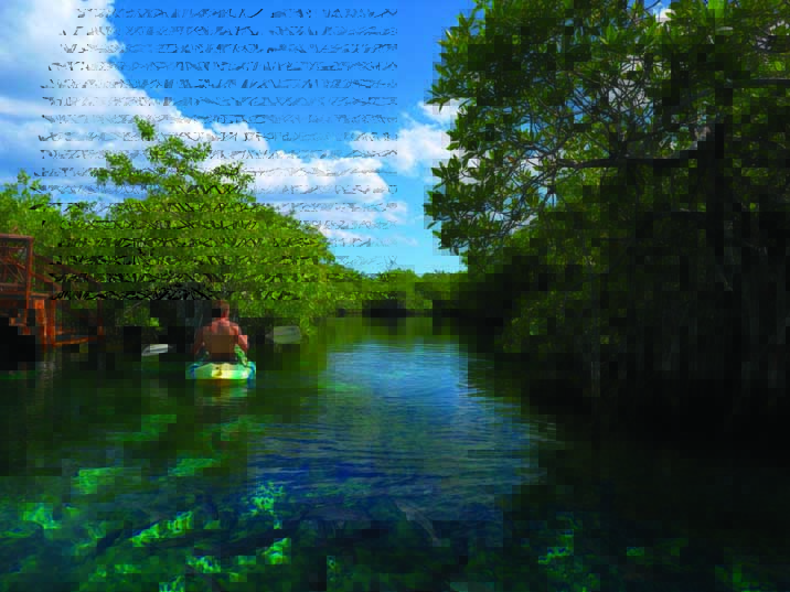 Kayak Bel Air Riviera Maya - Hoteles en la Selva