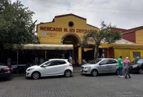 Coyoacán, 5 lugares que debes visitar