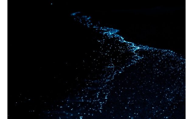   bioluminescent beaches in Mexico