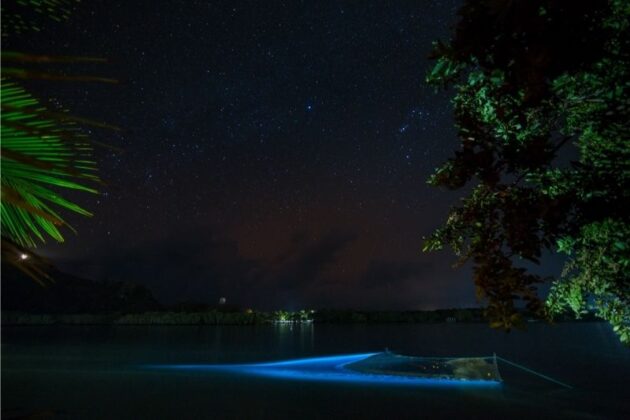 playas bioluminiscentes en México