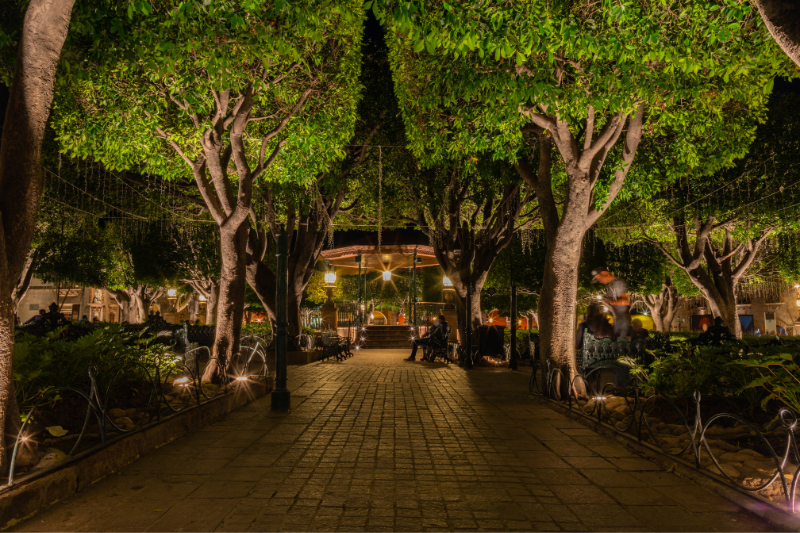 Top tips San Miguel de Allende